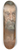 Alice Pike Barney - R. D. Shepherd as Shylock 8.25 inch art skate deck