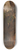 Jacques-Raymond Brascassat - Le Vieux chne (tude) 8.25 inch art skate deck