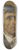 Jakob Becker - Portrait study of a man 8.25 inch art skate deck