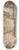 James Barry - The Phoenix or the Resurrection of Freedom 8.25 inch art skate deck