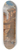 Alois Schnn - Rome, Columns in Torre dei Conti 8.25 inch art skate deck