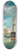 James Holland - Venice, La Giudecca Venezia 8.25 inch art skate deck