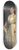 James Jebusa Shannon - Portrait of a lady 8.25 inch art skate deck