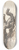 James Ward - A Tree Trunk on the Ground 8.25 inch art skate deck