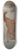 James Ward - Hunter in a landscape 8.25 inch art skate deck