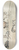James Ward - Studies of Horses 8.25 inch art skate deck