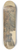 James Ward - Study of a Plunging Eagle 8.25 inch art skate deck