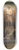 Jan Baptist Tetar van Elven - The exhibition of the plaster model of the statue of Rembrandt at the exhibition of works of art by living masters, at the Royal Academy of Art in Amsterdam in 1848. 8.25 inch art skate deck