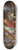 Jan Boeckhorst - The triumph of the Eucharist over Idolatry 8.25 inch art skate deck