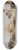 Jan Cigliski - From Cairo. From the journey to Egypt 8.25 inch art skate deck