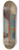 Jan Cigliski - Interior of the khans palace in Bakhchisaray. From the journey to Crimea 8.25 inch art skate deck