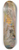 Jan Cigliski - Samarkand  marketplace. From the journey to Turkestan 8.25 inch art skate deck