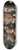 Jan de Bray - The Governors of the Guild of St Luke, Haarlem, 1675 8.25 inch art skate deck
