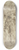 Jan Lievens - Eine Gruppe von Eichenstmmen 8.25 inch art skate deck