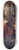 Jan Lievens - Quintus Fabius Maximus 8.25 inch art skate deck