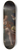 Jan Steen - Bathsheba After the Bath 8.25 inch art skate deck