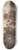 Jan Steen - David Returning Victorious after Defeating Goliath and the Philistines 8.25 inch art skate deck