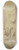 Januarius Zick - Die Enthaltsamkeit der Scipio 8.25 inch art skate deck