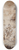 Januarius Zick - Luna and Endymion 8.25 inch art skate deck