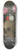 Jan Van Kessel The Elder - Vanitas Still Life 8.25 inch art skate deck