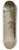 Jan van Ossenbeeck - Landscape with Shepherds 8.25 inch art skate deck