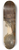 Jasper Francis Cropsey - TheWatermill 8.25 inch art skate deck