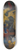 Alvar Cawn - Mimosa 8.25 inch art skate deck