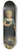 Jean Braud - Portrait of Alfred Auguste Frdric Victor Labatt De Lambert 8.25 inch art skate deck