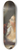 Jean-Honor Fragonard - The Love Letter 8.25 inch art skate deck