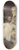 Jean Joseph Weerts - Portrait of Monsieur Dominique Jean-Baptiste Hugues in his studio 8.25 inch art skate deck