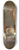 Jean Simon Chardin - Still Life with Ray and Basket of Onions 8.25 inch art skate deck