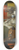 Jean Simon Chardin - The attributes of the arts and the rewards which are accorded them 8.25 inch art skate deck