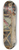 Jehan Georges Vibert - At the corrida 8.25 inch art skate deck