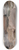 Amaldus Nielsen - Stenstudie, Hvaler 8.25 inch art skate deck