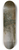 Johan Christian Dahl - Oak Tree by the Elbe in Winter 8.25 inch art skate deck
