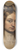Johan Ludvig Lund - Portrait Of A Lady 8.25 inch art skate deck