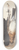 Johanna Fosie - Studie af to dde solsorte, han og hun, ophngt i snor p en p en krog 8.25 inch art skate deck
