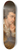 Johann Baptist von Lampi the Elder - Josef Wlfl (Komponist und Pianist) 8.25 inch art skate deck