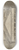 Ambrogio Brambilla - Pantheum Romanum nunc Mariae Cognomento 8.25 inch art skate deck