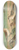 Johann Friedrich Naumann - Calidris arenaria, Limicola platyrhyncha (Temm.) 8.25 inch art skate deck