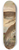 Johann Friedrich Naumann - Geocichla mollissima 8.25 inch art skate deck