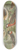 Johann Friedrich Naumann - Phalaropus fulicarius, Phalaropus lobatus 8.25 inch art skate deck