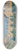 Johann Laurer - Studie vom Belvedere 8.25 inch art skate deck