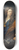 Johann Rudolf Huber the elder - Self-Portrait with Family Coat of Arms 8.25 inch art skate deck