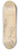 Johann Wilhelm Preyer - Studies of Plants 8.25 inch art skate deck