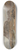 John Brett - Low Water, Springs 8.25 inch art skate deck