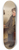 John George Brown - A Confab 8.25 inch art skate deck