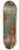 John George Wood - Hermit-Crabs. 8.25 inch art skate deck