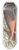John James Audubon - Fresh water marsh hen 8.25 inch art skate deck