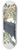 John James Audubon - Raven 8.25 inch art skate deck